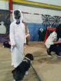 /album/a1%c2%ba-concurso-de-halloween-perruno/a12189136-930361357048635-6472662867553040169-n-jpg1/