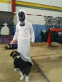 /album/a1%c2%ba-concurso-de-halloween-perruno/a12189921-930361413715296-5586279269998380037-n-jpg1/