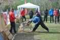 /album/curso-intensivo-de-figurantes-04-2015/a1426587310090-jpg/