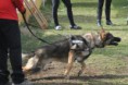 /album/curso-intensivo-de-figurantes-04-2015/a1426597303769-jpg/