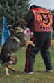 /album/curso-intensivo-de-figurantes-04-2015/a1426597304690-jpg/