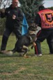 /album/curso-intensivo-de-figurantes-04-2015/a1426597305333-jpg/