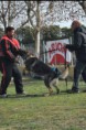 /album/curso-intensivo-de-figurantes-04-2015/a1426597305766-jpg/